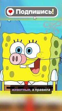 SpongeBob finally got his license… but not in his own country! 🚗😂 #SpongeBob #nickelodeon #cartoons