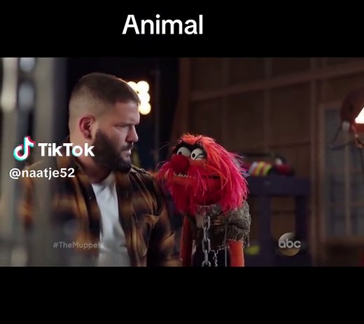 Muppet Show Moments with Animal: A Fun Look