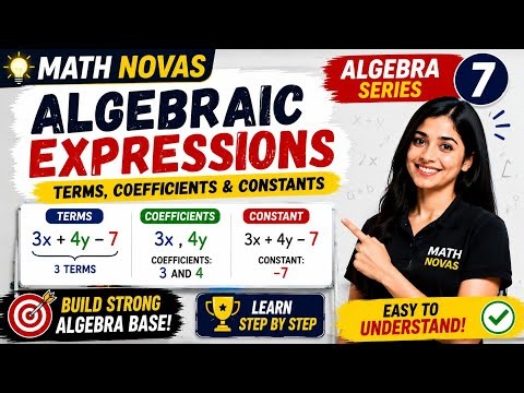 Algebraic Expressions: Terms, Coefficients & Constants