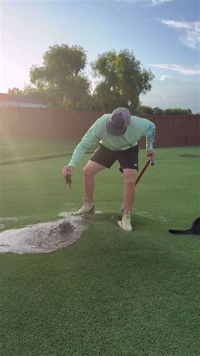 It happened again 🤦‍♂️ | lawn bubbles