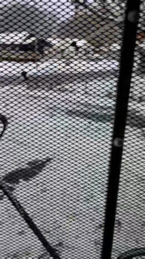 Wow! Fall & Winter clashes!!! 藍 | Gail Inmynewseason Reaves | Facebook