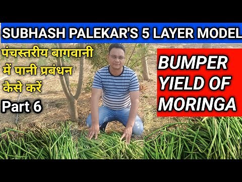 Subhash Palekar 5 Layer Model | Part 6 | Subhash Palekar Natural Farming | Moringa Farming | SPNF