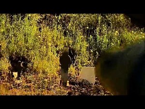 Shotkam & MGM targets