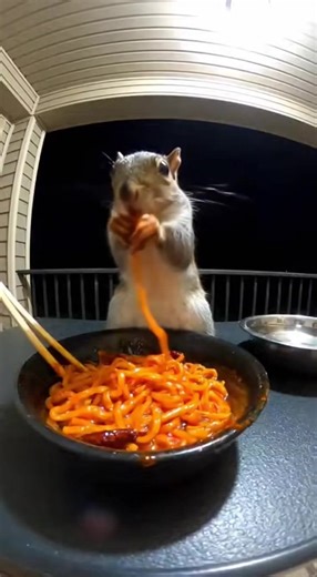 Brown reddish spicy doodle #reddish | R3