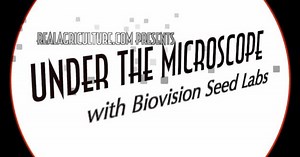 Under the Microscope: Dormancy Explained