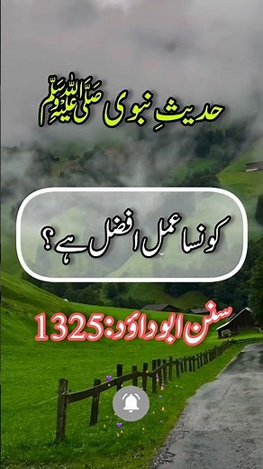 💕Which process is better? 💕🥀 | Hadith e nabvi ﷺ ✍️ | #shortvideo