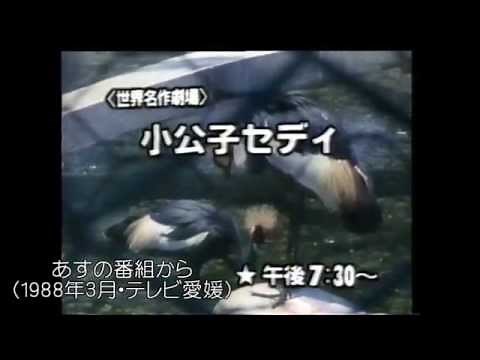 懐かしい番組（案内）大集合