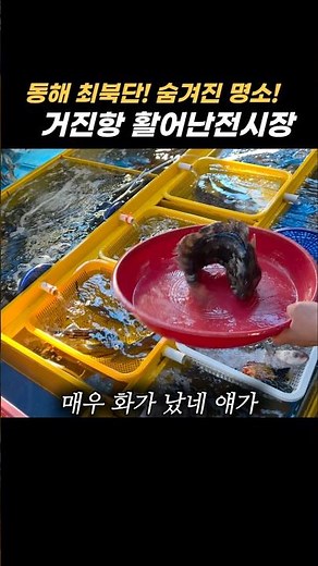 A trip to Goseong and Sokcho! A must-visit fish market! Beware of stuffing yourself for 40,000 won
