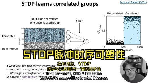 W4 V2 - STDP【中配+中字】