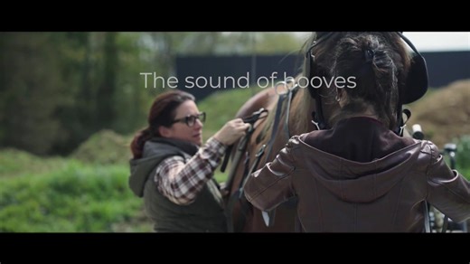 2025 EQUUS Film & Arts Fest Official Entry "The Sound Of Hooves" Trailer November 13 - 16, 2025 Maryland Horse Library & Education Center 321 Main Street Rristertown, MD 21136 www.equusfilmfest.com | EQUUS Film & Arts Fest