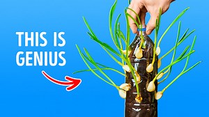 Make your garden blossom: useful plant hacks | 5-Minute MAGIC
