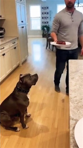 he ate the Alpha's steak... big mistake 😱🥩