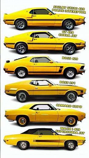 Yellow Muscle Monsters That Ruled 1969–71