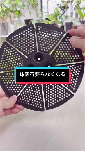 観葉植物の水はけ実験と鉢底石の代用