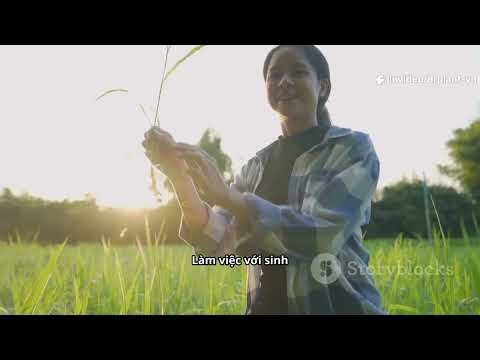 The Secret of Durian Flower Hormones: The Truth About Auxin That Gardeners Need to Know! #Auxin #IAA