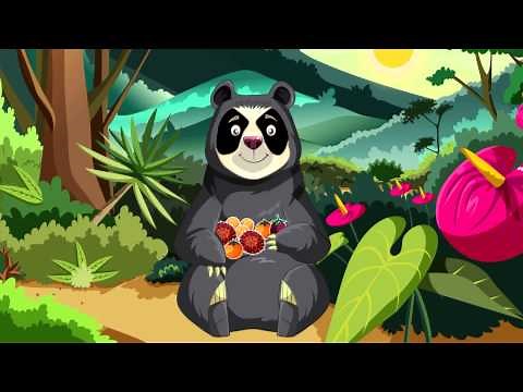 THE SPECTACLED BEAR