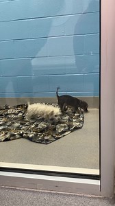 24K views · 510 reactions | It's the week you've been waiting for!...