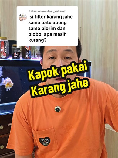 Kapik pakai media biologis Karang Jahe. #lepet #mediabiologismomogi #bioblock #SiPalingAffiliate #lehmannzhang