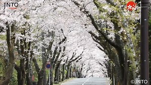 25K views · 1.3K reactions | Pleasure and excitement await when you...