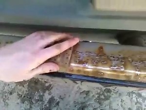 Does Coca Cola remove rust from metal?