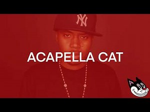 Nas - It Ain't Hard To Tell Acapella 91 BPM - 4K Acapella Cat