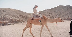 Pexels Pavel Danilyuk视频