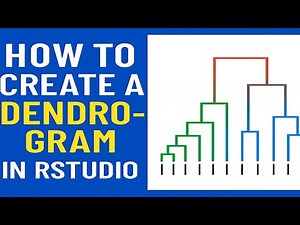 How to Create a Dendrogram in RStudio | Hierarchical Clustering|Rstudio course 2025