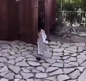 31K views · 2K reactions | What are you doing step ladder襤 | 혾홝홚홚홢 홋홡홪홨 | Facebook