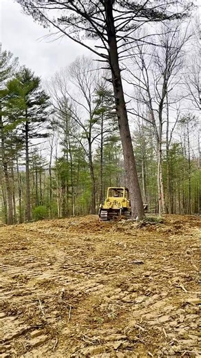 Dad on the Dozer he grew up with. 1972 Allis Chalmers HD11 #bulldozer #dozer #allischalmers #genx #bluecollar | Florence Marigold