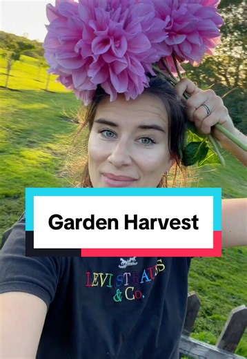 At my customers garden today! #growyourown #vegetablegarden #kitchengarden