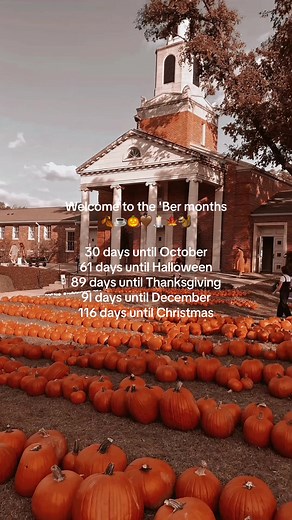 Celebrate the 'Ber Months: Fall Decor and Vibes