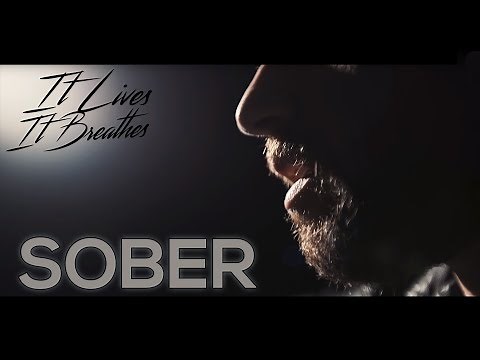 Tool - Sober (cover by It Lives, It Breathes)