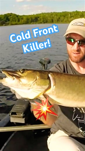 BIG Musky Strikes in Nasty Cold Front! - INSANE Headshakes! #fishing #muskyfishing #muskylures #fish