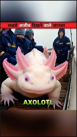 world's UGLIEST ANIMALS.