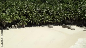 Mahe Seychelles, inductance beach, clients relaxing on the towels under the coconut palm tree during a hot sunny day