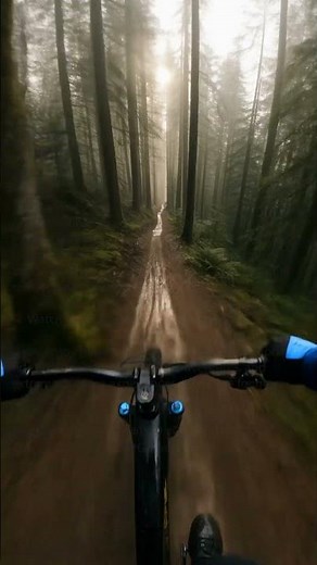 INSANE Downhill MTB Wooden Bridge Drop POV | Extreme Forest Trail Ride 4K
