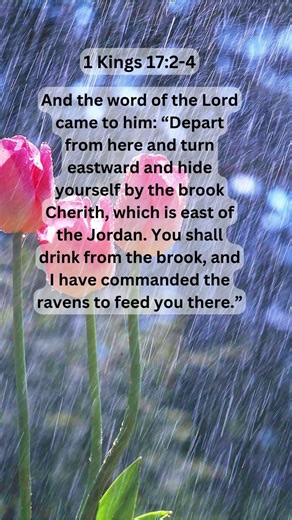 Jesus Saves | 1 Kings 17:2–4 Daily Bible Verse