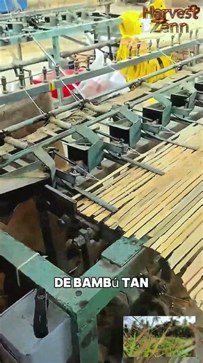 ¿Cómo se Fabrican Toneladas de Esteras de Bambú? 🎋 Máquina Tejedora