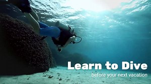 Aquarius Scuba on Reels