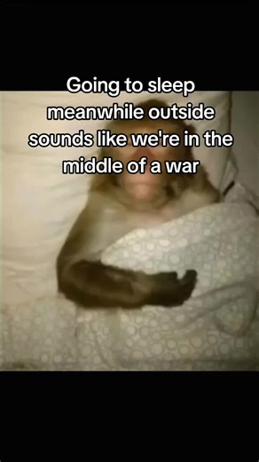 Late Comedy Memes for 2026