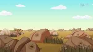 13.10 : Bootstrapping