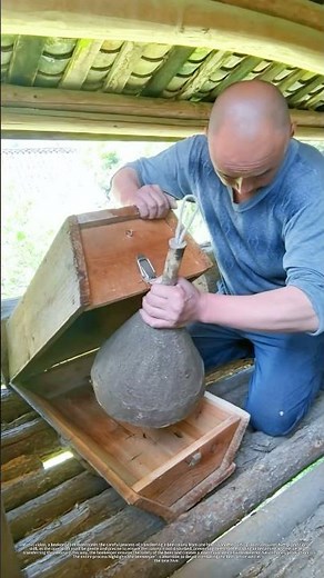 Careful operation to ensure the safe migration of bee colonies