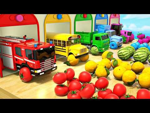 Funny Car Cartoons for Kids (43 Minutes) | Vehicle Cartoons for Toddlers & Preschoolers