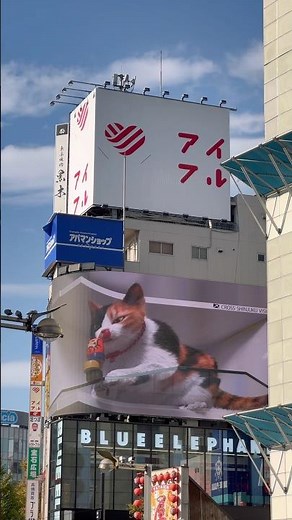 Este es el gatito 3D en Shinjuku, Tokio. Tal cual fui a este barrio solamente a verlo ¡Miau! 🇯🇵🐈