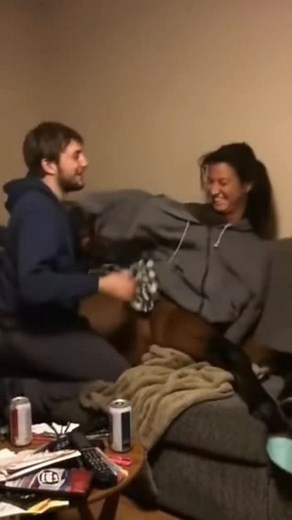 798K views · 11K reactions | They're gonna knock something over | AI Is Cursed | Facebook