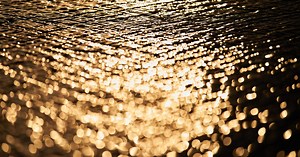 Tuesday's Top Stories, June 20