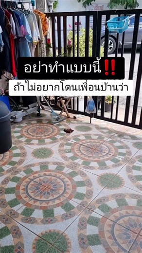 วิธีกำจัดกลิ่นฉี่น้องหมาและแมว: วิธีทำความสะอาดบริเวณที่สัตว์เลี้ยงปัสสาวะ