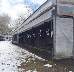 SPCA Of Westchester Seeks Help To Rebuild Animal Care Campus