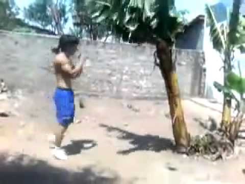 Kicking Banana Tree FULL FORCE With Shin Muay Thai