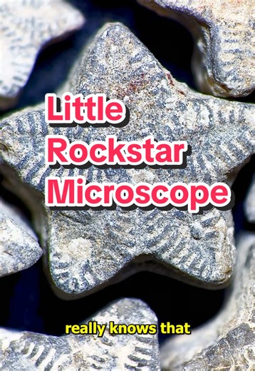 Explore Ocean Fossils with Microscopes and Geology
